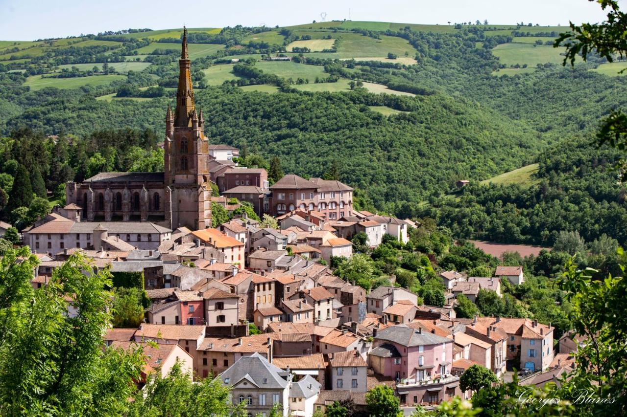 Camping Vert Lavande Belmont-sur-Rance Esterno foto