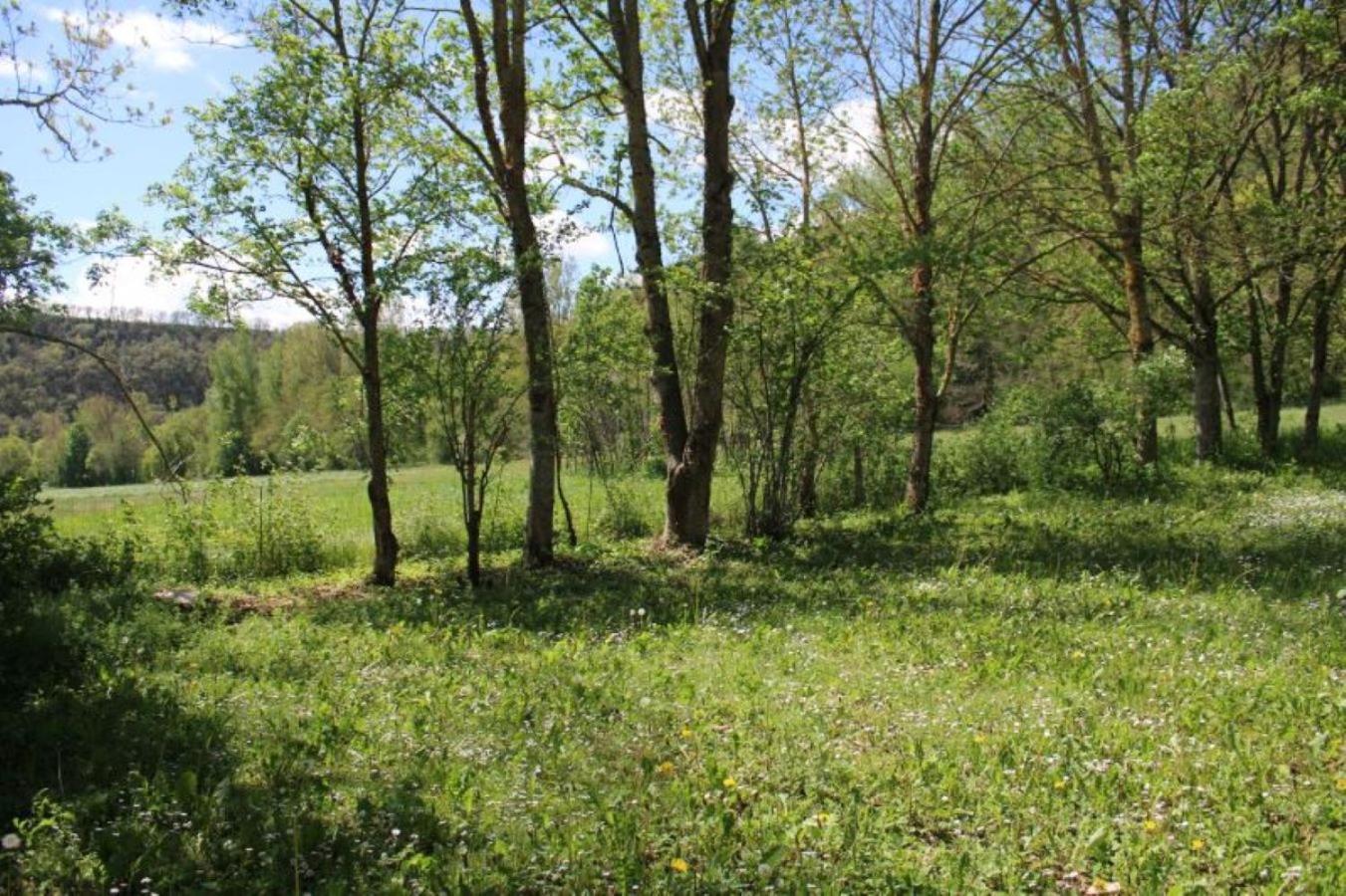 Camping Vert Lavande Belmont-sur-Rance Esterno foto